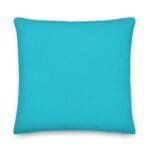 all-over-print-premium-pillow-22x22-back-6791e05970335.jpg Coussin cadeau guitaristes